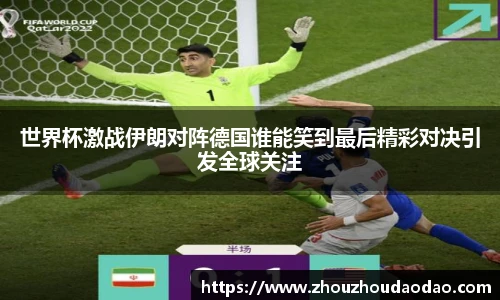 333体育官网入口