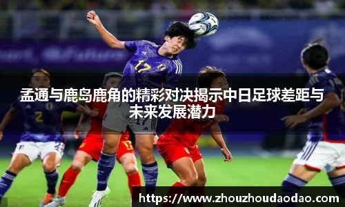 333体育官网入口
