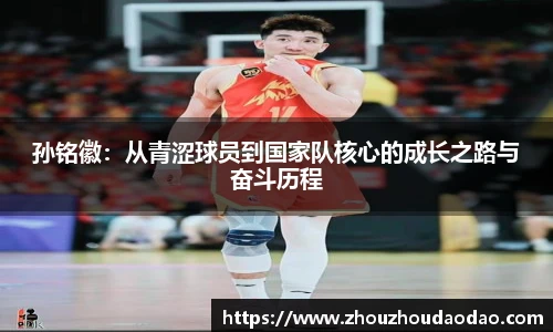 333体育官网入口