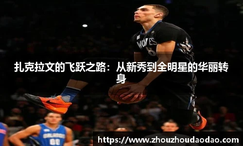 333体育官网入口