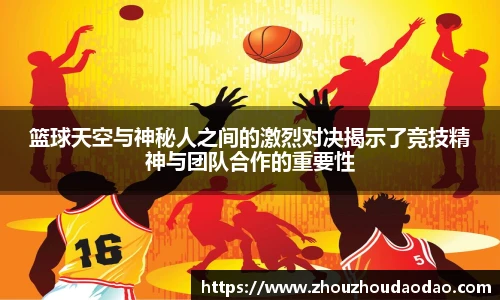 333体育官网入口