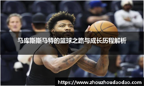 333体育官网